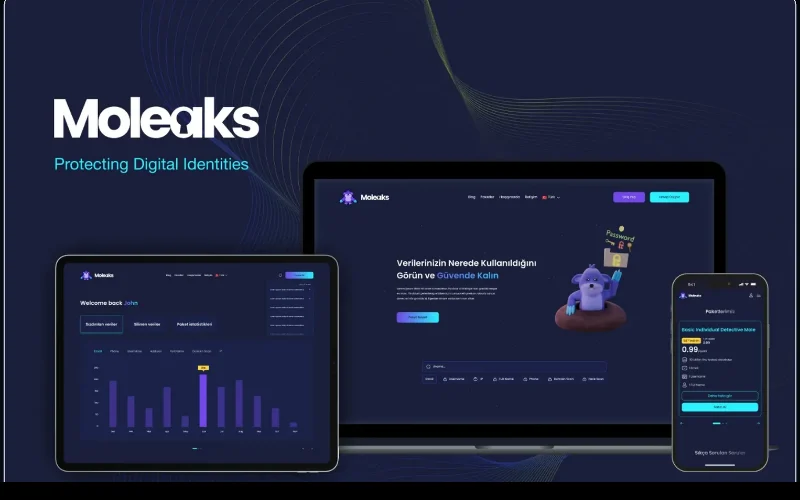 Moleaks leak search and report interface